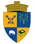 Coat of arms of Drajna
