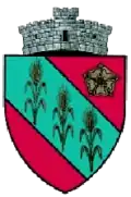 Coat of arms of Dărmănești