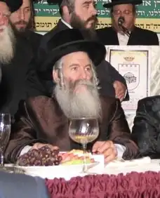 Rabbi Ben Zion Aryeh Leibish Halberstam, a prominent Hasidic leader. He was the Bobover Rebbe and a descendant of the Divrei Chaim.