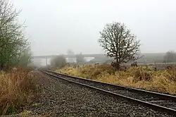 Railroad crossing of the Port of Tillamook Bay Railroad at Wilkesboro Road with Oregon 6 in the distance
