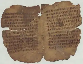 Photograph of papyrus 2 & 3