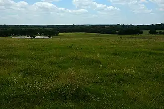 Ranchland seen from Highway 916 east of Grandview, Johnson County, Texas, USA (26 June 2021)