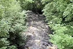 River Twiss seen from the road bridge in Ingleton