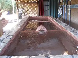 Developed hot springs soaking pool.