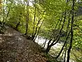 Typical forest walking path along the banks of the Rotten Calder