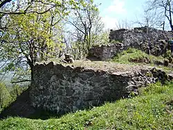 Castle ruins