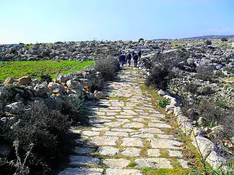 Roman Road