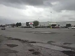 Roses at Five Points Mall