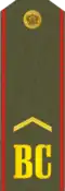 Service uniform yefreytor of the Army and SMF (1994−2010)