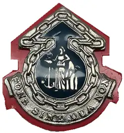 SACC Logistic unit beret badge