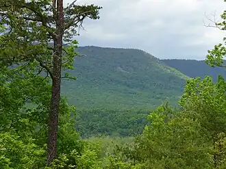 The view from Cullers Overlook in the park