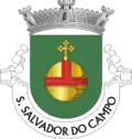 Coat of arms of São Salvador do Campo