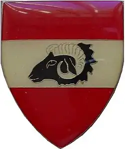 Bo-Nossob Commando Insignia