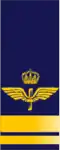 Löjtnant (Swedish Air Force)