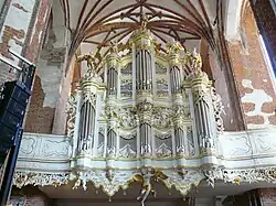 View of the reconstructed organ.