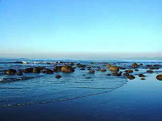 Image 43St. Martin's Island is a small island in the northeast part of the Bay of Bengal, about 9 km south of the tip of the Cox's Bazar-Teknaf peninsula, and forming the southernmost part of Bangladesh. It is the only coral island in Bangladesh. This picture features the dead corals of The Saint Martin's Island. Photo Credit: Mirza Salman Hossain Beg