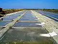 Salt fields in Loix-en-Ré