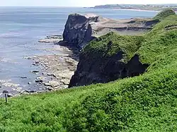 Photograph of grass-topped cliffs and the sea. Flat, bare rock can be seen where the sheer cliffs meet the water