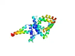Saposin B (PDB: 1N69).