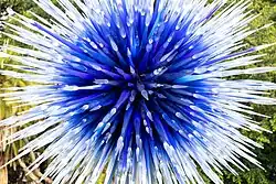 Sapphire Star (2010)​​‌