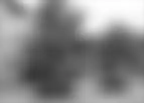 Scale-space representation '"`UNIQ--postMath-00000027-QINU`"' at scale '"`UNIQ--postMath-00000028-QINU`"'