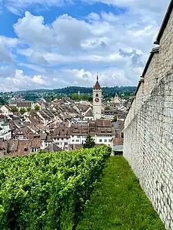 Schaffhausen old town from the Munot vineyards