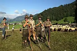 Image 4Herding sheep in Austria (from Alps)