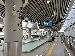 Platform 2 (backup platform)