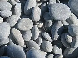 An overhead picture of a grey spider among smooth grey rocks.