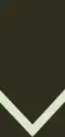 Lance corporal (Seychelles Infantry Unit)[47]