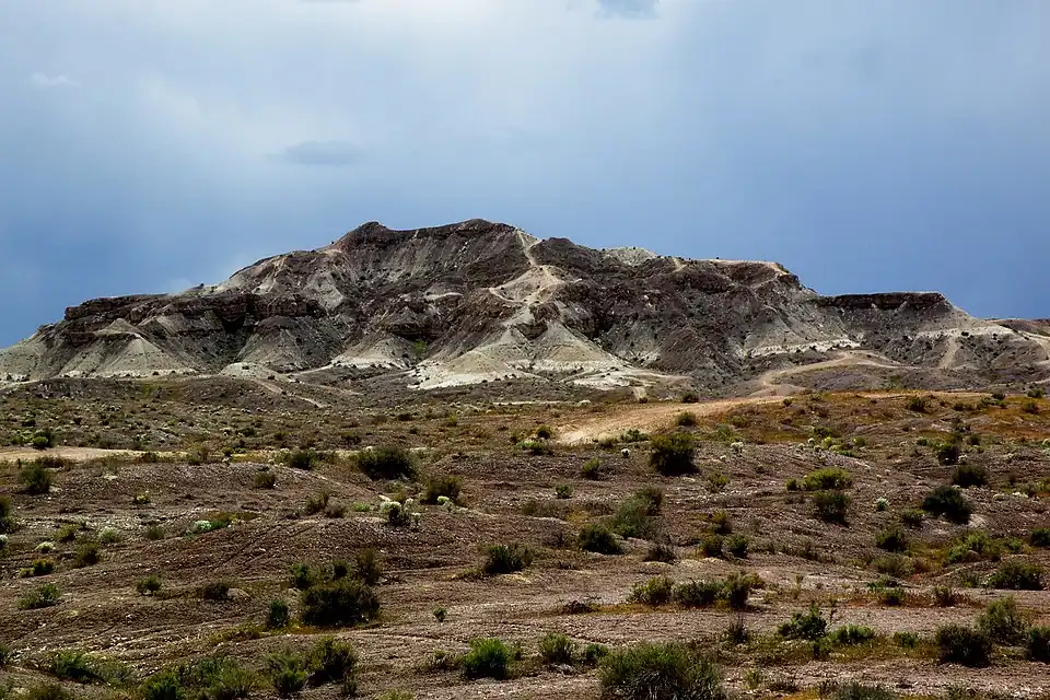 Habitat of Pediocactus sileri in Washington County, Utah