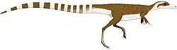 Sinosauropteryx prima
