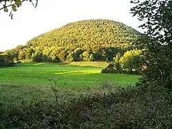Photograph of a forested hill