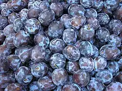 Prune plums (European plum)