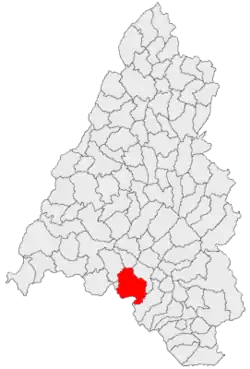 Location in Bihor County