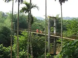 The hanging spring bridge over the Bheemanadi in West Elerithattu.