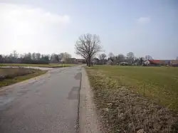 A road through open fields passes a line of trees and enters a village