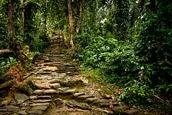 Section of the stone staircase that leads up from the river valley to Ciudad Perdida