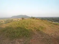 Buddhist Stupa Mound at Gudiwada Dibba