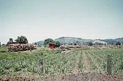 Agricultural field with hills beyond