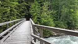 A view from a wooden bridge over a small river in a forested environment