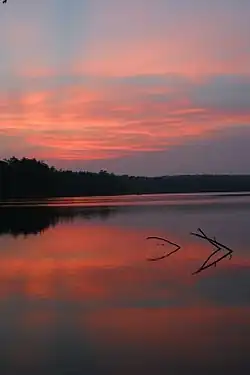 Pink clouds in a dark purple-blue sky are reflected in a smooth lake. At the horizon is a line of dark trees, and two branches stick out of the water in the middle of the image.