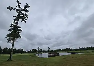 TPC Louisiana golf course with pond