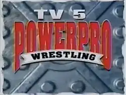 Power Pro Wrestling logo