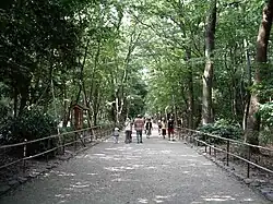 This pathway leads through Tadasu no Mori (the "Forest Where Lies are Revealed").