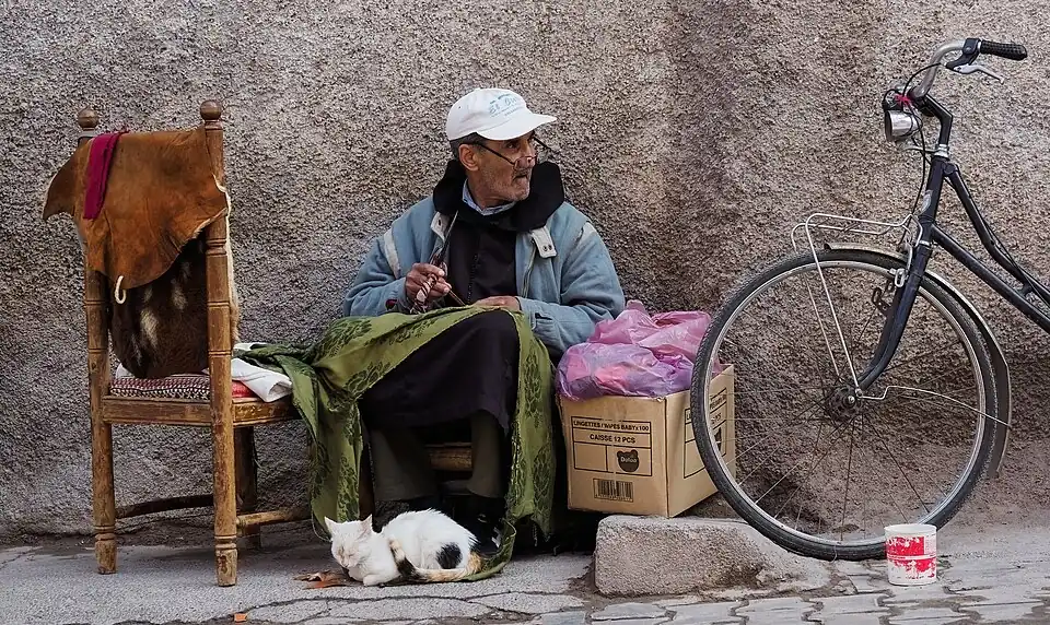 A man working outdoors, with a bicycle and a white cat