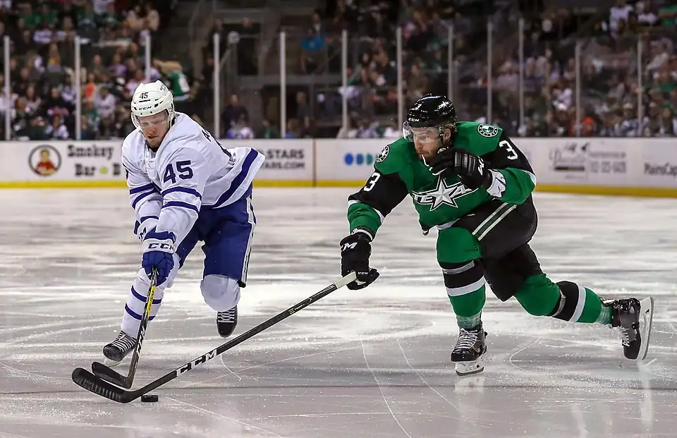 Texas Stars vs Toronto Marlies (29154260728).jpg