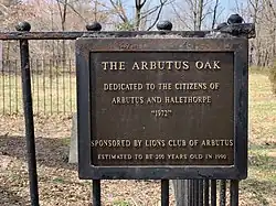 The Arbutus Oak Plaque