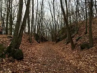 The Larkin Trail in Whittemore Glen State Park in Naugatuck Connecticut.