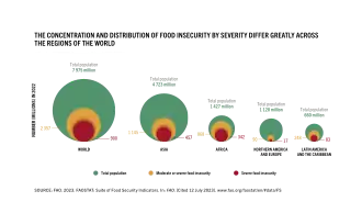 The concentration and distribution of food insecurity in 2023 by severity differ greatly across the regions of the world.